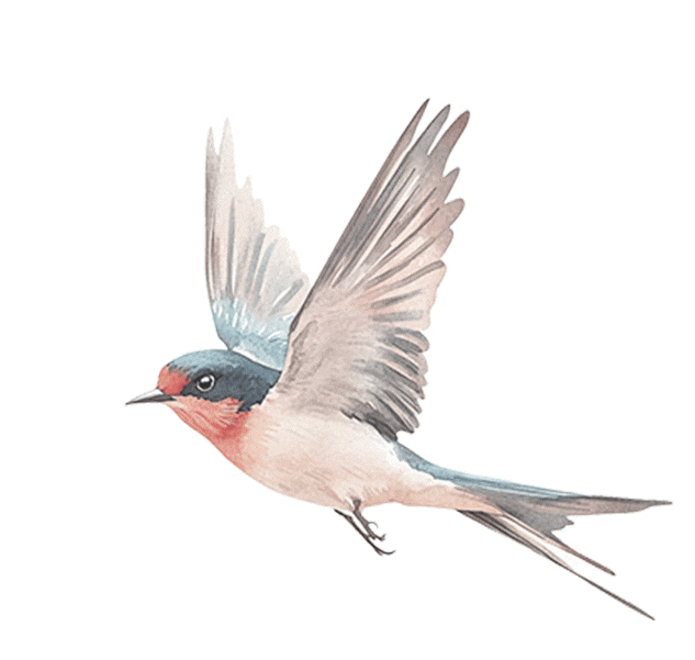 华面纱你绝对想不到的度假天堂!J9国际集团揭开澳门银河的奢(图4) 华面纱你绝对想不到的度假天堂!J9国际集团揭开澳门银河的奢(图4)