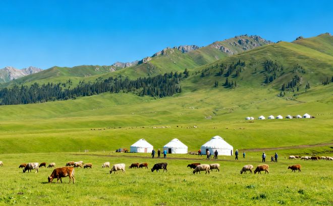 :纯玩定制两不误性价比之王就选蒙旅J9数字平台新疆口碑优质旅行社前十(图6) :纯玩定制两不误性价比之王就选蒙旅J9数字平台新疆口碑优质旅行社前十(图6)